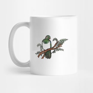 New Zealand pigeon Mug